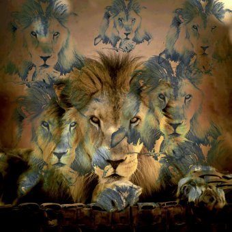 Arte digitale "Safari selvaggio", artista digitale Sergio Luiz Cerezer Benetti Sergio alla Jose Art Gallery