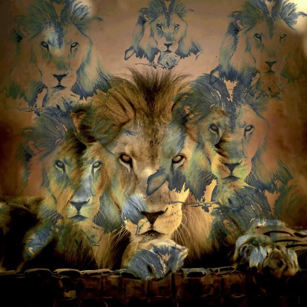 Foto Animalistico Arte digitale "Safari selvaggio" artista digitale Sergio Luiz Cerezer Benetti Sergio 