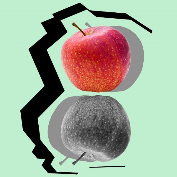 Foto Natura morta Arte digitale "Vita organica" artista digitale Sergio Luiz Cerezer Benetti Sergio 