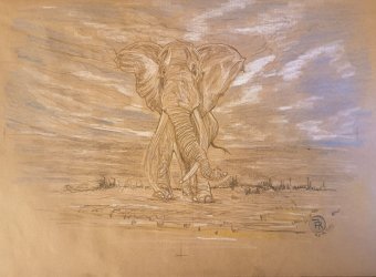 Drawing "Savannah: The Majestic African Elephant" by illustrator roberto ferrando pencil paper at Jose Art Gallery
