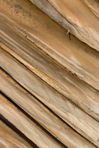 Fotografia "Texture ecologiche", fotografo Sergio Luiz Cerezer Benetti Sergio alla Jose Art Gallery