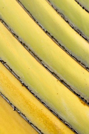 Fotografia "Colori naturali", fotografo Sergio Luiz Cerezer Benetti Sergio alla Jose Art Gallery