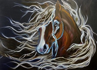Stallion