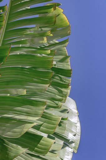 Fotografia "Armonia Naturale", fotografo Sergio Luiz Cerezer Benetti Sergio alla Jose Art Gallery