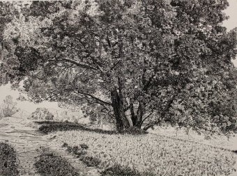 Desenho "Uma velha árvore na estrada", ilustrador Spartak Chernyshov tinta nanquim papel na Jose Art Gallery