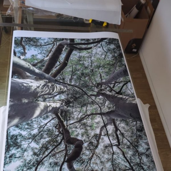 Dodatkowy obraz 7: Czarno-biały Fotoimpresjonizm Fotografia "Wody i kamień", fotograf Sergio Luiz Cerezer Benetti Sergio 