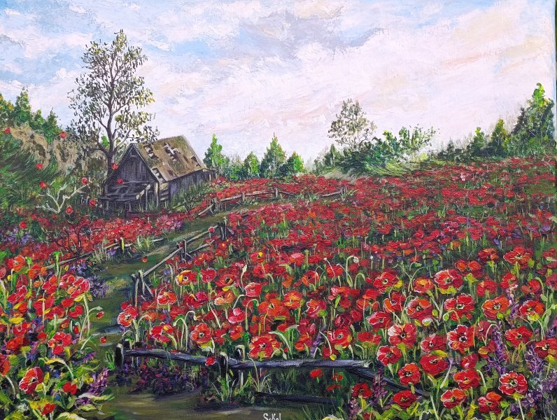 Contemporary Art Landscape Painting Poppy field by painter SOKOL ART acrylic canvas 