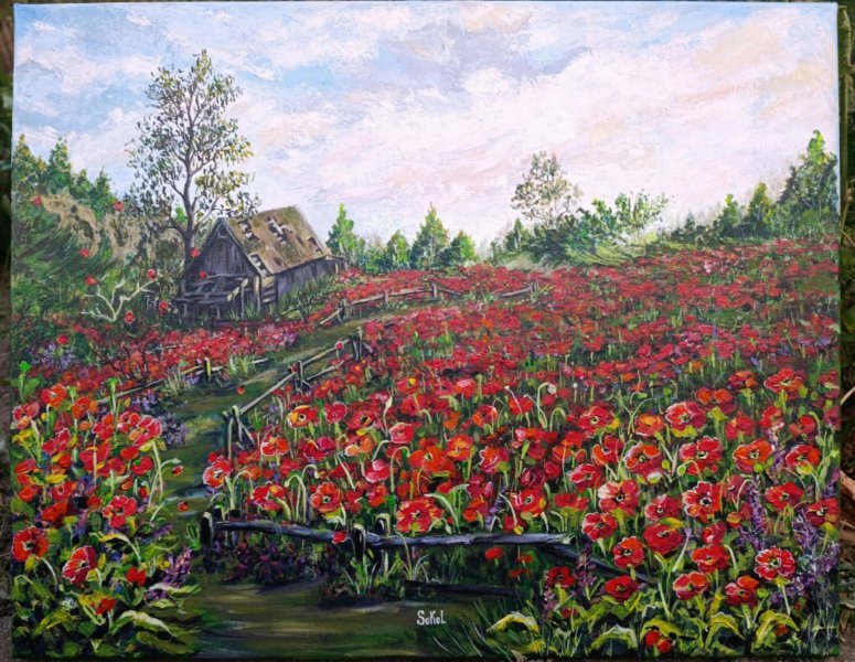 Additional view 1: Contemporary Art Landscape Painting Poppy field by painter SOKOL ART acrylic canvas 