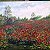 Poppy field – painting