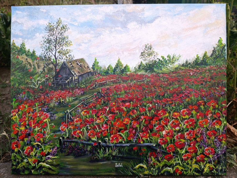 Additional view 2: Contemporary Art Landscape Painting Poppy field by painter SOKOL ART acrylic canvas 