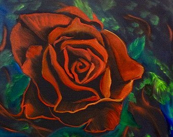 A Red Rose