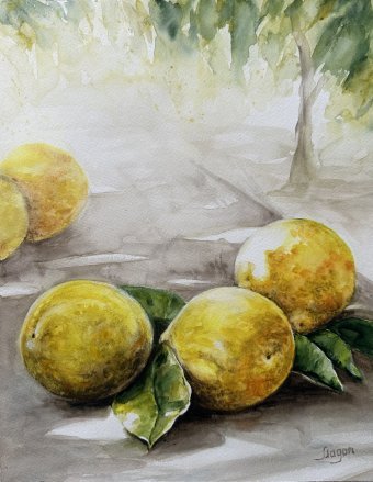 Painting "Lemons in Sunlight Reflections Realism" by painter Irina Magon watercolor paper at Jose Art Gallery
