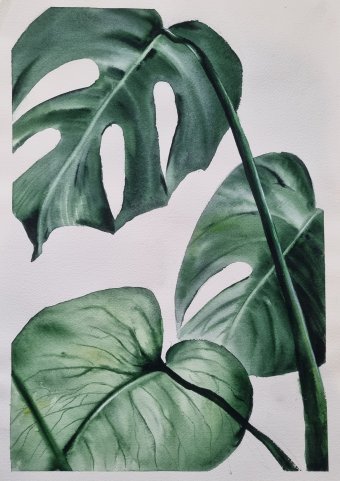 Painting "Elegant Green Monstera Leaf Art" by painter Irina Magon watercolor paper at Jose Art Gallery