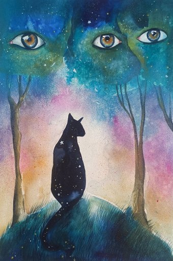 Entre ojos y estrellas
