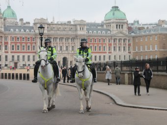Photographie "La police à cheval à Londres, tradition et ordre", photographe Anatoliy Pastushenko à la Jose Art Gallery