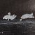 Освітлені місячним світлом океанські хвилі та морське життя — painting