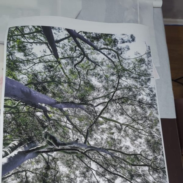 Dodatkowy obraz 5: Czarno-biały Fotoimpresjonizm Fotografia "Sztuka monochromatyczna", fotograf Sergio Luiz Cerezer Benetti Sergio 