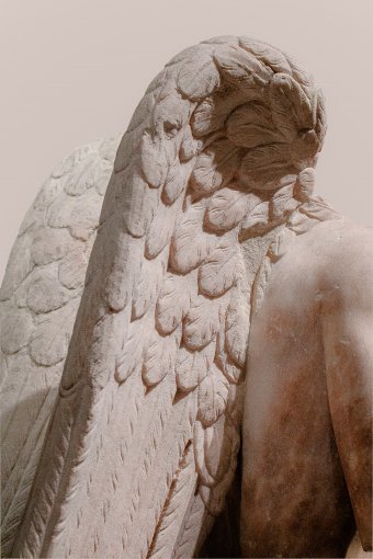 Fotografie "Ewige Flügel", fotograf/-in Sergio Luiz Cerezer Benetti Sergio in der Jose Art Gallery