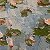 Water Lilies – buy