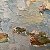 Water Lilies – buy online