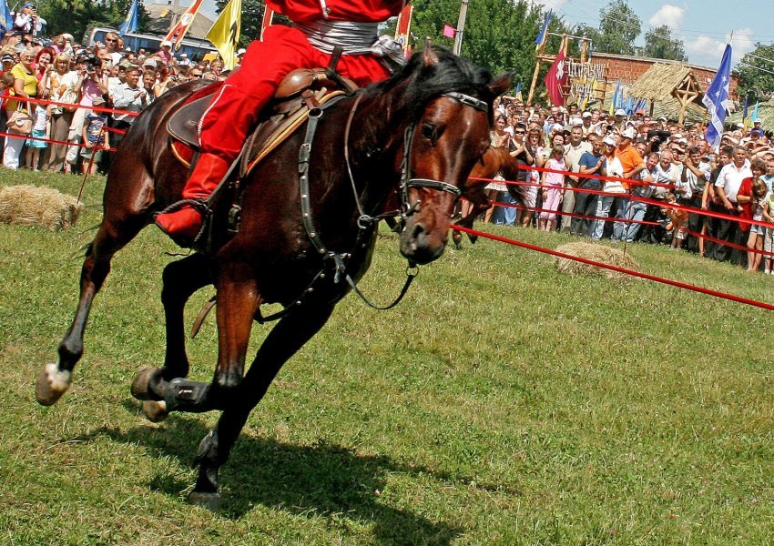 Дополнительное изображение 3: Цветной Репортаж Фотография "Казацкие развлечения." фотограф Анатолий Пастушенко 