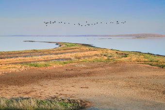Fotografía "Liman", fotógrafo Oleg Livanov en Jose Art Gallery