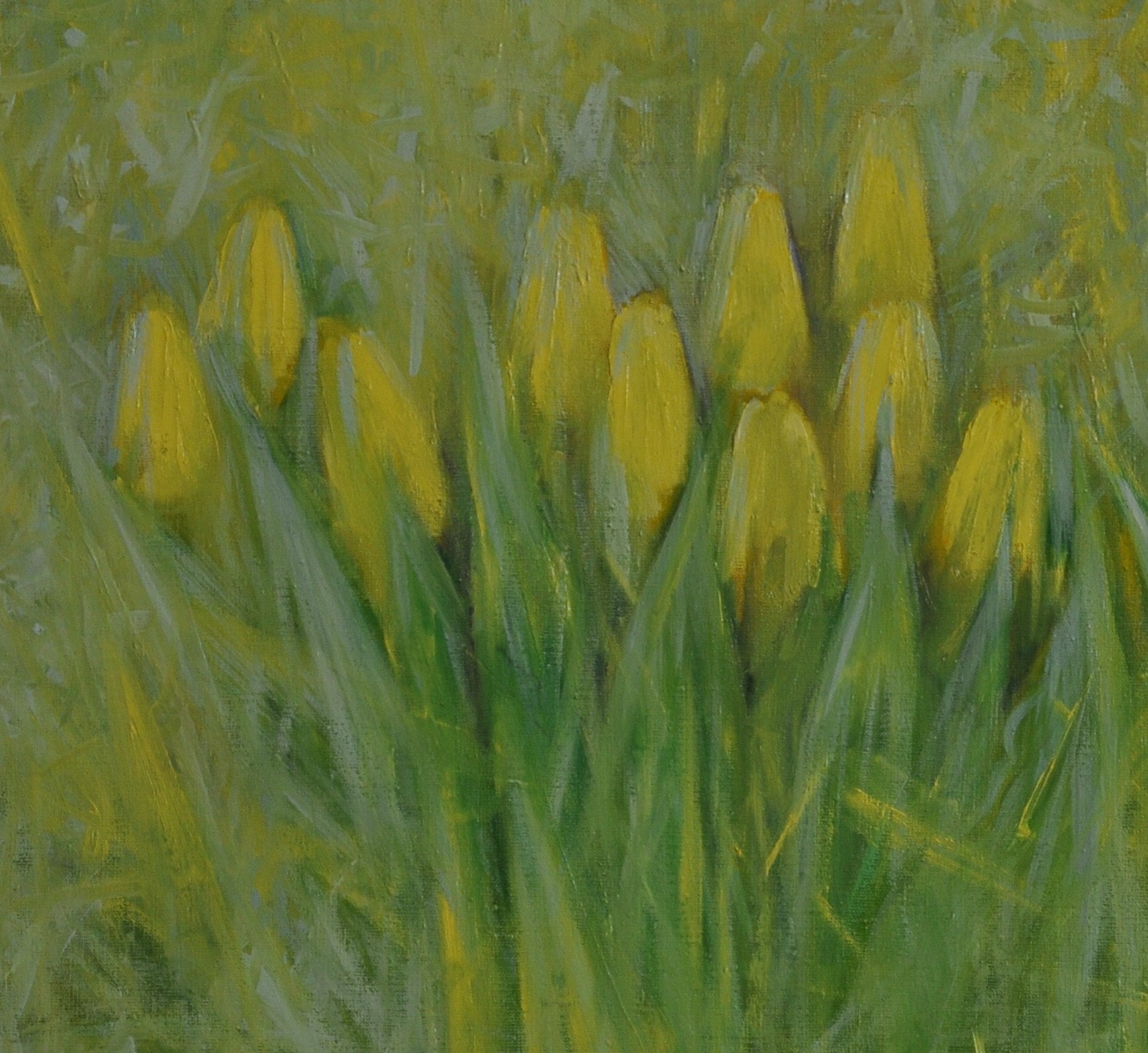Spring - buy