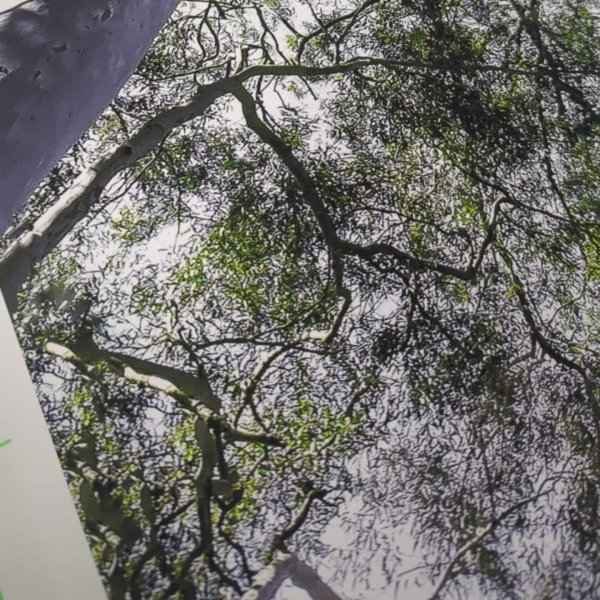 Dodatkowy obraz 6: Modern Fotoimpresjonizm Fotografia "Rozważania o świętości", fotograf Sergio Luiz Cerezer Benetti Sergio 