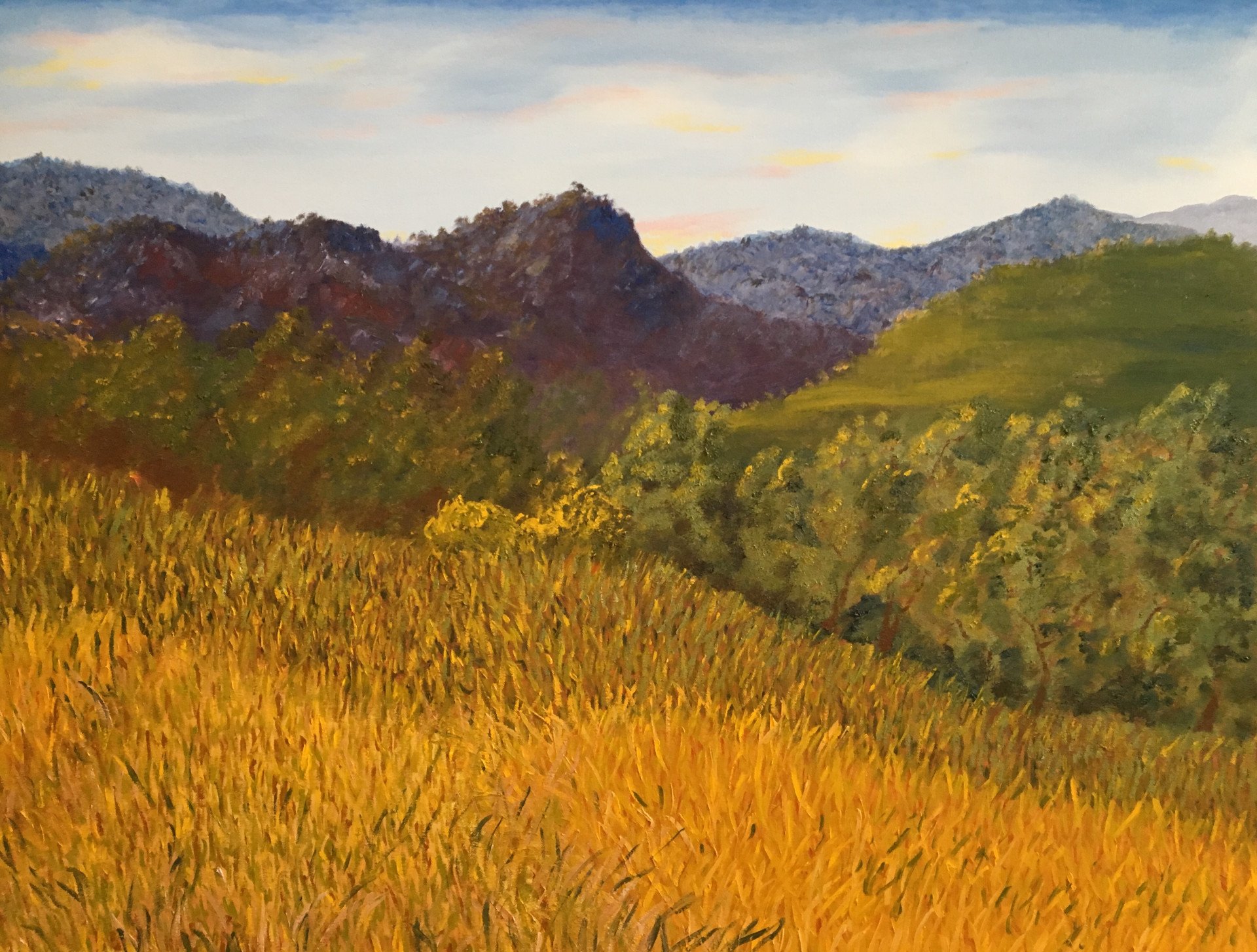Hills and Grass Painting by Bill Neary Jose Art Gallery