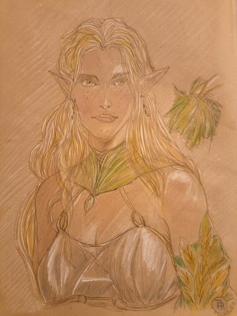 Gráfico "Elfo nórdico. Arte antiguo y grunge.", ilustrador roberto ferrando lápiz papel en Jose Art Gallery