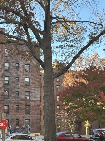 Fotografie "Teilt", fotograf/-in Amanda Harris in der Jose Art Gallery