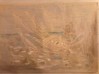 Grafica "Octopus: Un Gigante nel Suo Habitat Naturale", illustratore roberto ferrando matita carta alla Jose Art Gallery