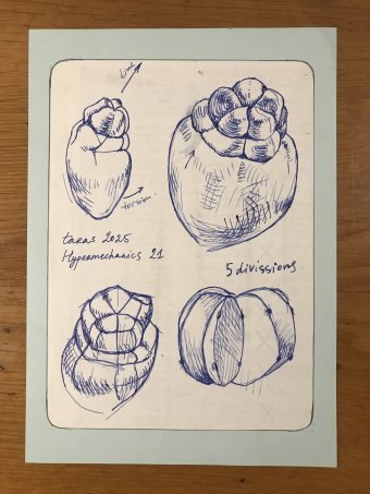 Graphik "Hypermechanics 21", illustrator Taras Leskiv Stift Papier in der Jose Art Gallery