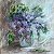 Lilac – order