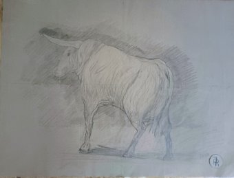 Drawing "Strength and Nature: The Mighty Bull" by illustrator roberto ferrando pencil paper at Jose Art Gallery