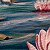 Serene Water Lilies in Bloom – painting