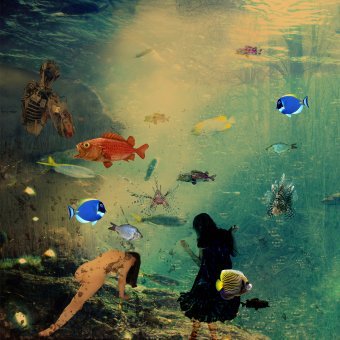 Фотографія "Мій Єлисейський 9", фотограф Geert Lemmers в Jose Art Gallery