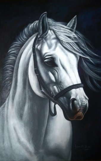 Painting "Majestic White Horse Portrait" by painter Isaac Opoku Badu acrylic canvas at Jose Art Gallery