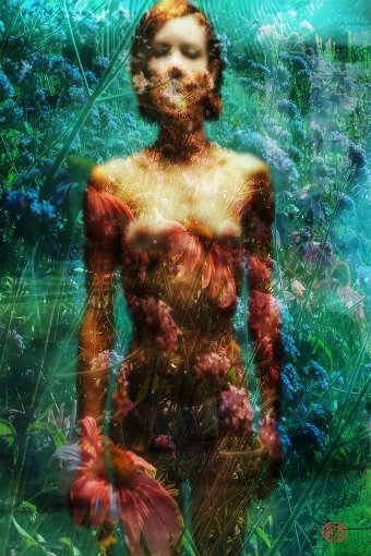 Фотография "Афродита, крепкая женщина", фотограф Geert Lemmers в Jose Art Gallery