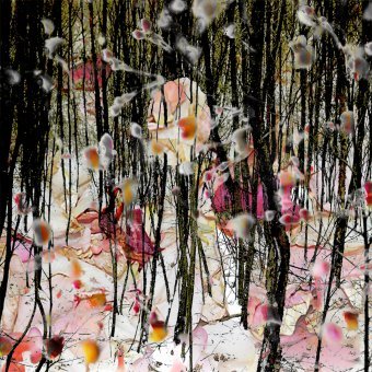 Fotografia "Uma nova arqueologia 9", fotógrafo Geert Lemmers na Jose Art Gallery