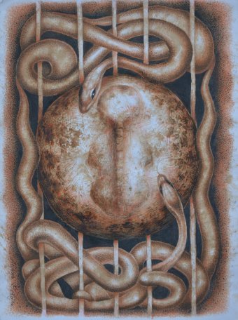 Embrião e serpentes: símbolo da metamorfose