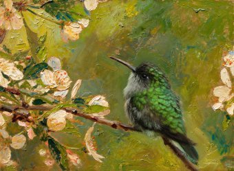 Photographie "Colibri parmi les fleurs de cerisier", photographe Orlando Sanchez Cabrera à la Jose Art Gallery