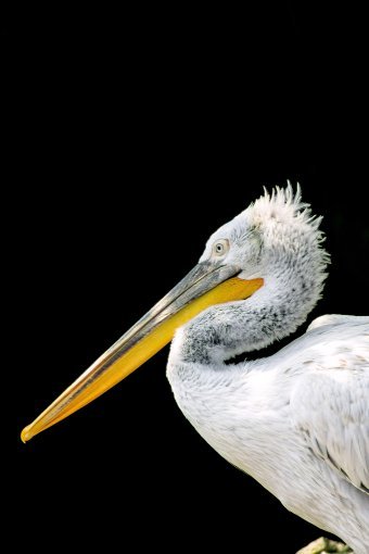 Fotografia "Spiritualità nel silenzio", fotografo Sergio Luiz Cerezer Benetti Sergio alla Jose Art Gallery