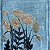 Careless Poppies: Modern Flower Express – buy
