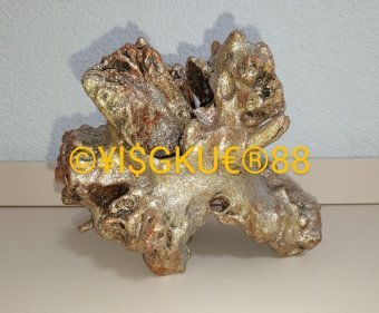 Escultura "88.WOOD-DEVIL-FISH", escultor Yaroslav Stratyy Madeira na Jose Art Gallery