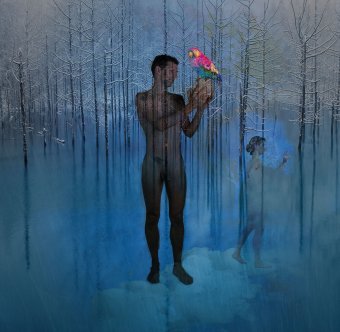 Фотография "Динанд и Донна", фотограф Geert Lemmers в Jose Art Gallery