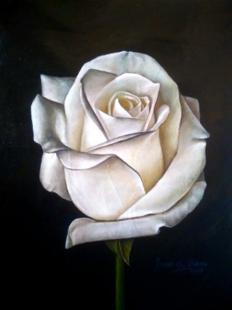 Painting "Soft Petals" by painter Isaac Opoku Badu acrylic canvas at Jose Art Gallery