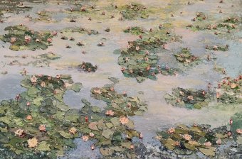 Пруд с водяными лилиями