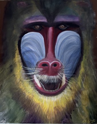 Живопись "Мандрил: Красочный мир обезьян", живописец M.E.G смешанная техника холст в Jose Art Gallery