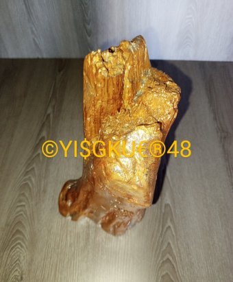 Sculpture "48. MAGIK WORK GOLD CORAL", sculpteur Yaroslav Stratyy Bois à la Jose Art Gallery